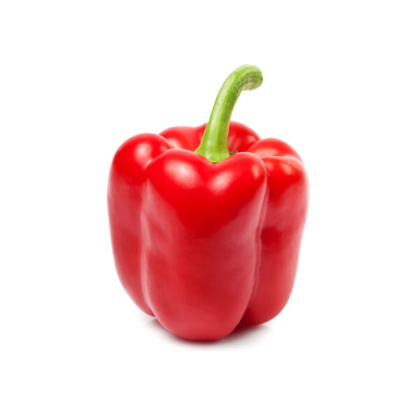 Peperone Dolce idroponica