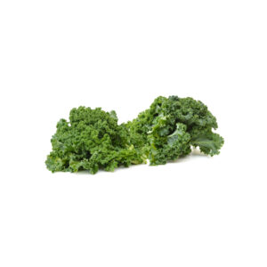 Cavolo Riccio (Kale) idroponica