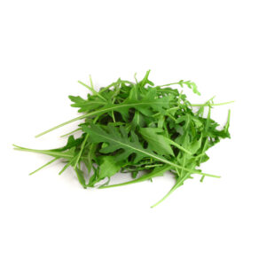 Rucola idroponica