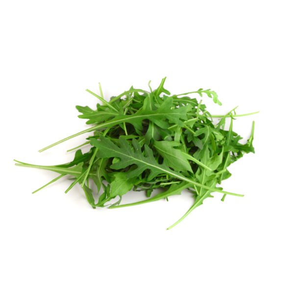 Rucola idroponica