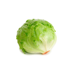 Insalata Iceberg idroponica