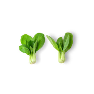 Pak Choi idroponica