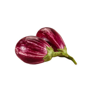 Melanzana Mini idroponica