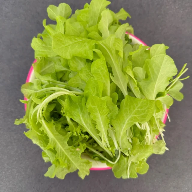 #idrooo #ortoverticale Raccolto di insalata